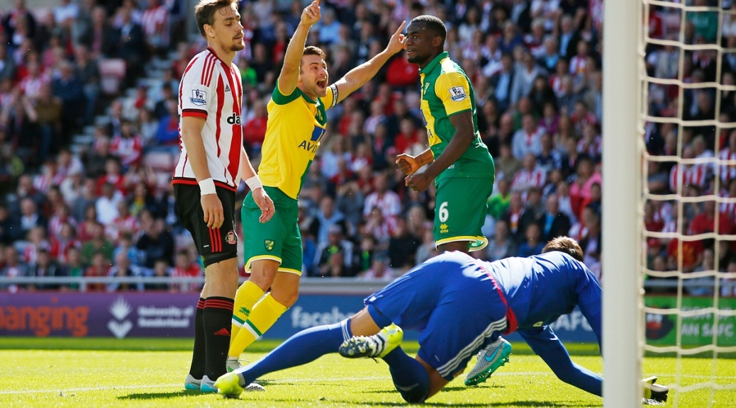 Norwich defeat Sunderland (Credit: The Guardian)